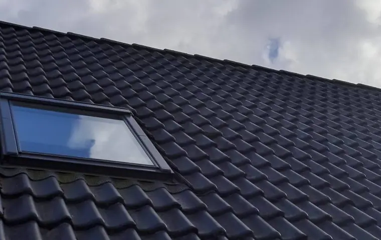 Maison contemporaine toit