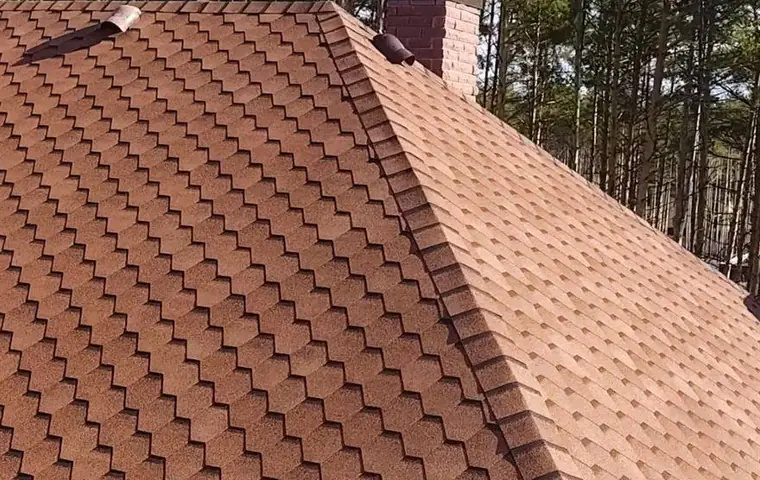 Couvreur Bois le roi - rénovation toiture tuiles
