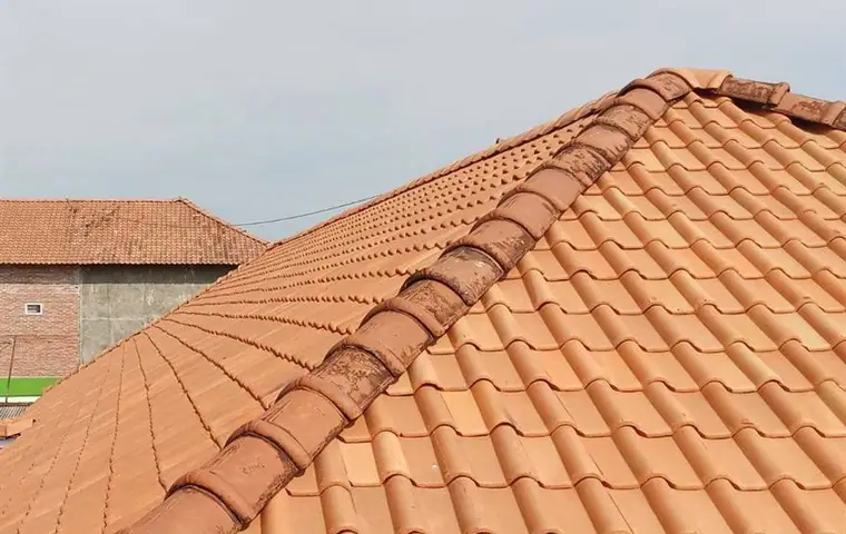 Maison toiture ardoise